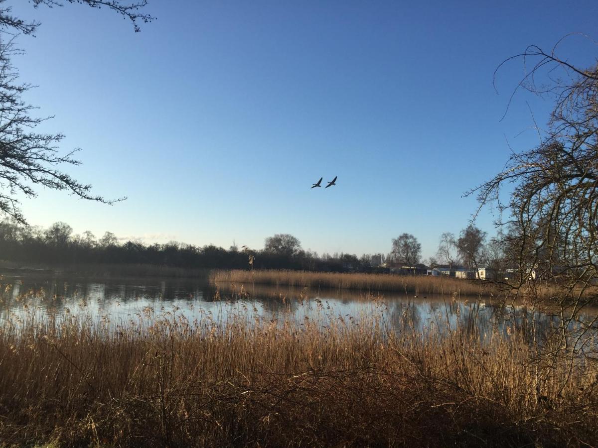 Korsor Vandrerhjem Svanegarden Bagian luar foto